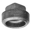BCPD,Pressure Rated Cast Iron Plugs,Ward Manufacturing, Inc., 4174