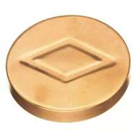 CDWVTCAPG,Copper Caps,Elkhart Products Corporation, 1911
