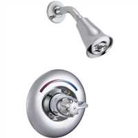 DT13H183,Shower Faucets,Delta Faucet Company