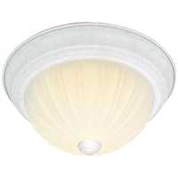 N76125,Flush Mount Ceiling Fixtures,Nuvo Lighting (Brand Of Satco)