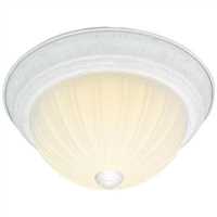 N76127,Flush Mount Ceiling Fixtures,Nuvo Lighting (Brand Of Satco)