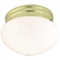 N77059,Flush Mount Ceiling Fixtures,Nuvo Lighting (Brand Of Satco)