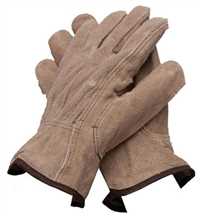 PSG20354,Gloves,Proselect