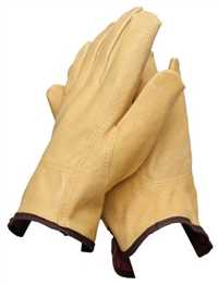 PSG20252,Gloves,Proselect